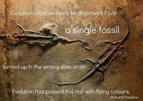 Facts to disprove the evolution theory