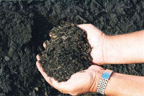 Coal Ash On Garden Soil | Fasci Garden