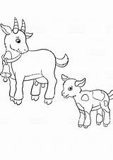 Free Baby Goat Coloring Page sketch template