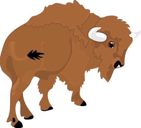 Buffalo Clipart Pictures – Clipartix