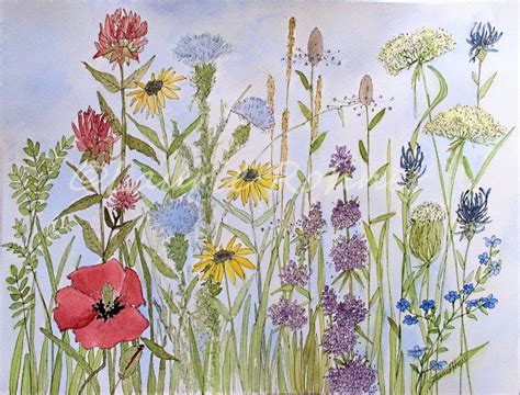 Wildflower in Garden Illustration Watercolor Original Nature Art - Between The Weeds Studio ...