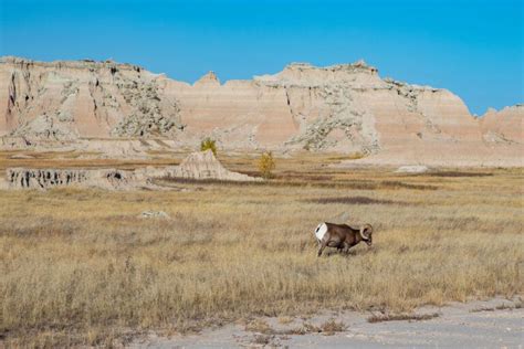 10 Great Hikes in Badlands National Park – Earth Trekkers