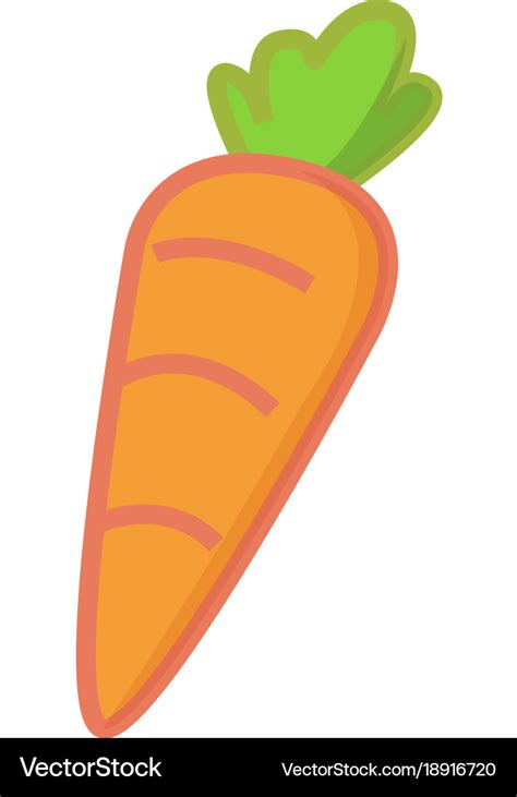 Cute cartoon carrot with isolated white Royalty Free Vector