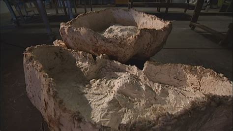 Giant wombat fossils saved from rising floodwater - ABC News