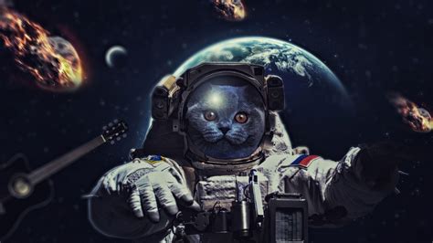 Space Cat Wallpapers - Top Free Space Cat Backgrounds - WallpaperAccess