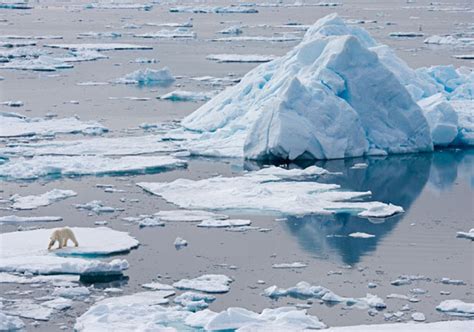 Un Mundo en Paz: El frágil hábitat del oso polar