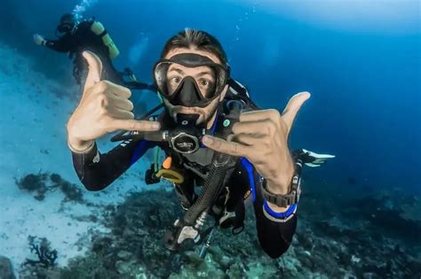 How to Scuba Dive in Cancún (And 7 Best Spots!) – Cancún and Playa Del Carmen Area Travel Site