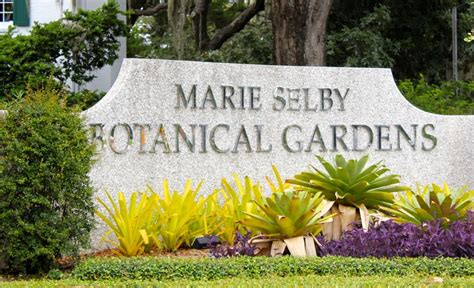 Marie Selby Botanical Gardens Sarasota, Florida | Must Do Visitor Guides