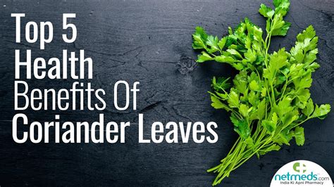 Top 5 Health Benefits Of Coriander Leaves - YouTube