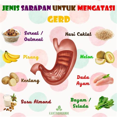 Penderita Asam Lambung Wajib Tahu Ini Daftar Makanan Minuman Serta Buah Yang Harus Dihindari ...