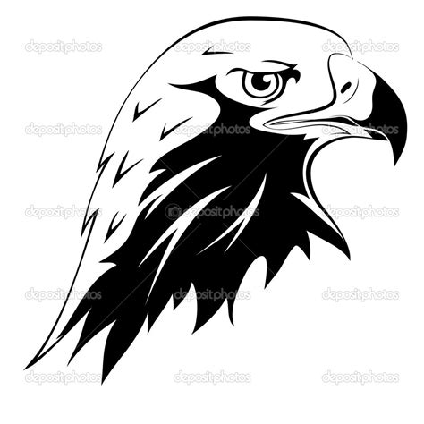 Falcon Head Drawing at GetDrawings | Free download