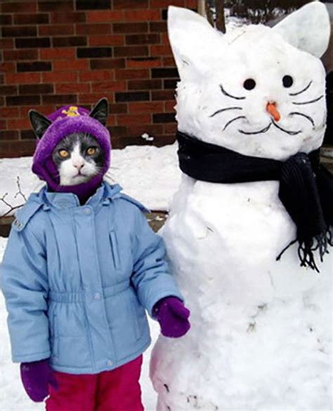 24 Clever Ways to Build a Snowman - Mommy Shorts