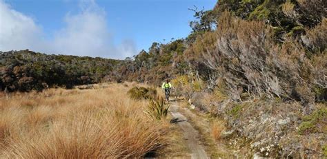 Heaphy Track Mountain Bike Trail in Karamea, New Zealand || SINGLETRACKS.COM