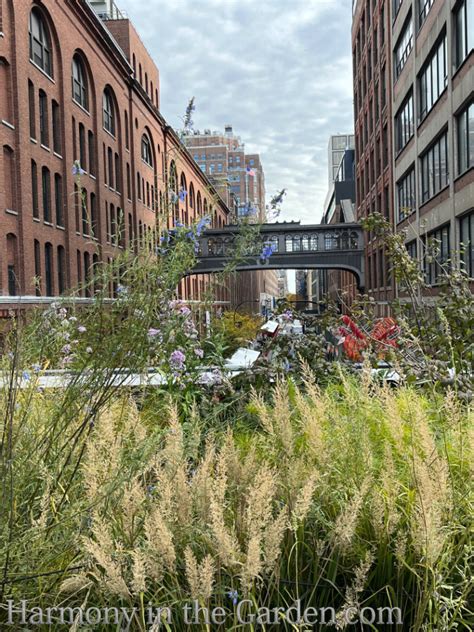 The High Line Garden in Autumn - Harmony in the Garden