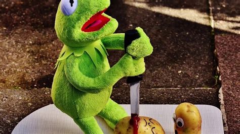 kermit edit - YouTube