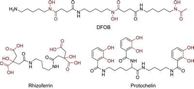 Frontiers | Extraction and Detection of Structurally Diverse Siderophores in Soil