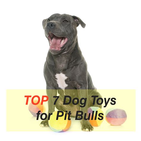 Discover The 7 Best Toys For Pit Bulls | MySweetPuppy.net