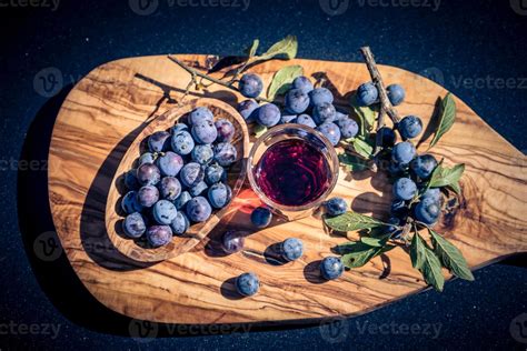 fruits of the blackthorn bush 3028323 Stock Photo at Vecteezy