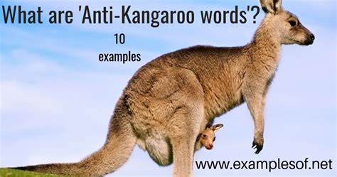 What are anti-kangaroo words? with 10 examples | ExamplesOf.net