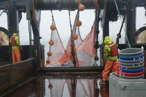 To Manage Global Trawling Impact, Think Local | NOAA Fisheries