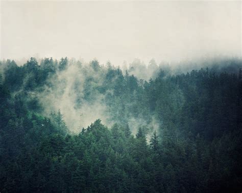 Foggy Forest Print Landscape Photography Nature Photography | Etsy ...