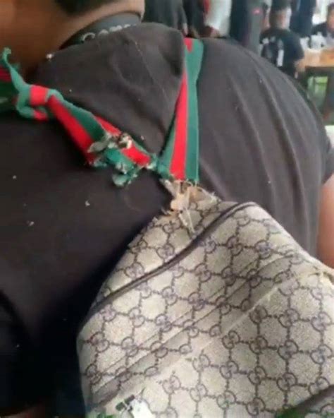 @gucci bag on Life Support. Damn! This guy is surely degrading the ...