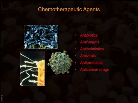 PPT - Chemotherapeutic Agents PowerPoint Presentation, free download ...