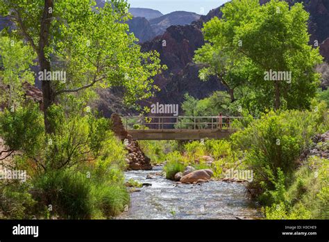 Bright Angel Campground, Grand Canyon National Park, Arizona Stock ...