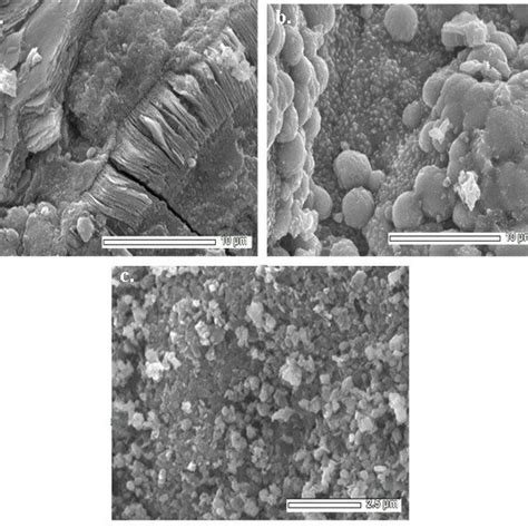 showing composition of laterite and lateritic soils, and data plotting ...