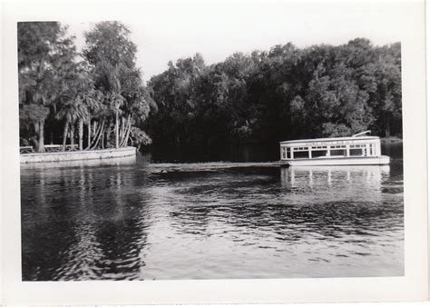 A Sense of Family: Florida's Silver Springs, 1952: Wordless Wednesday