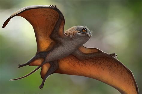 Scientists discover new dinosaur and it is adorable