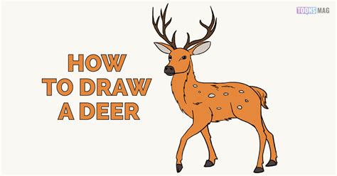 Pretty Deer Pictures To Draw : Deer Drawing How To Draw A Deer Step By ...