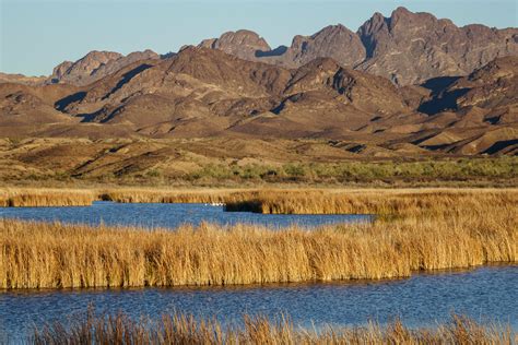 Cibola National Wildlife Refuge - Anne McKinnell Photography