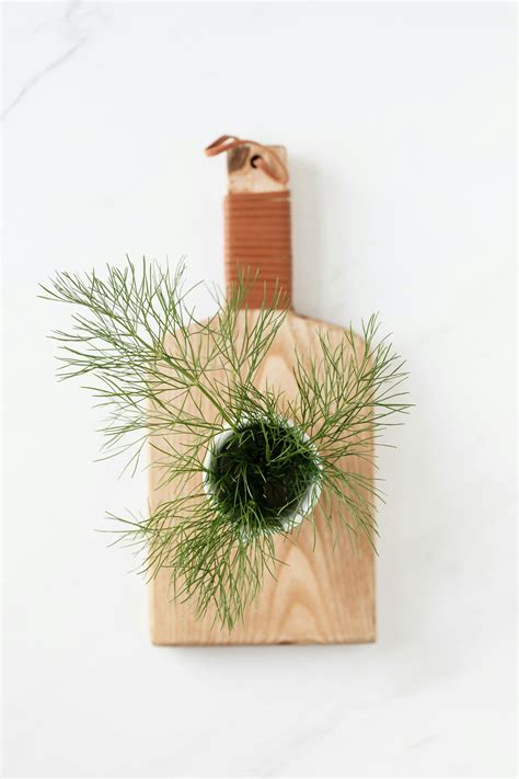 Composition of bunch of fresh dill on wooden cutting board · Free Stock Photo