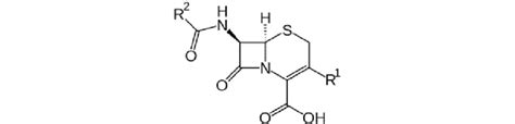 6. Structure of cephalosporins. | Download Scientific Diagram