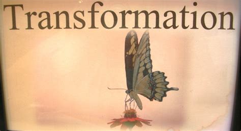 Butterfly Transformation Poems | Poem Butterfly Transformation, Poems About Butterflies and ...