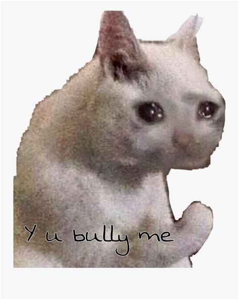 Y U Bully Me Cat - Sad Cat Meme Transparent , Free Transparent Clipart - ClipartKey