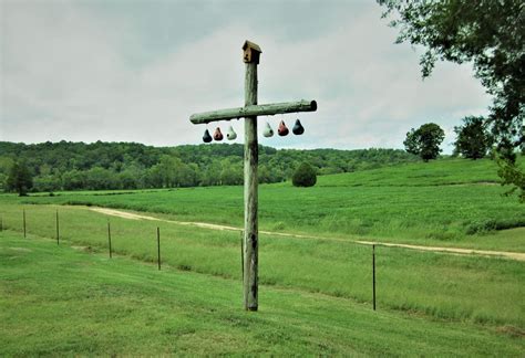 Purple Martin Gourds (1) | Fay Ranches