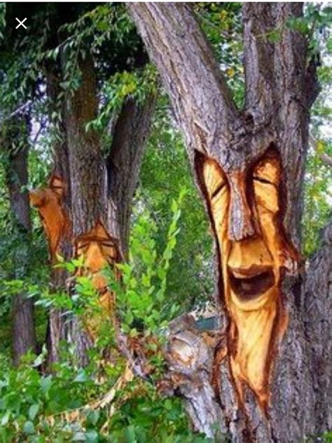 Enchanted Forest Revelstoke BC | Lawn art, Tree faces, Tree carving