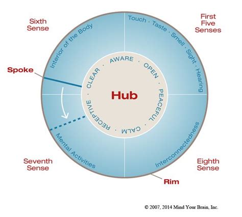 Dr. Dan Siegel - Resources - Wheel Of Awareness | Dan siegel, Teaching ...