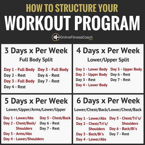 8 Week Cardiovascular Training Program A Beginner s Guide - Cardio ...