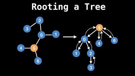 Tree Graph In Graph Theory