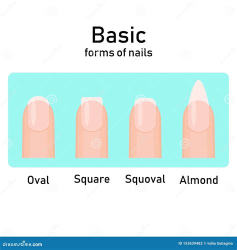 Different Basic Fashion Natural Nail Shapes. Set Kinds Forms of Nails ...