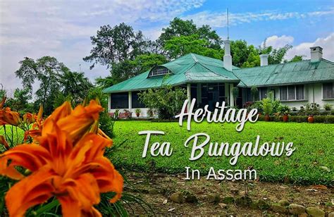 Heritage Tea Bungalows and tea garden tour in Assam - Nexplore Travel