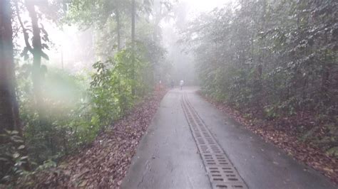 A Misty Bukit Timah Hill | JustRunLah!