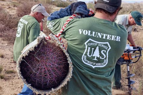 Play Hooky, Get Dirty, Do Good: Volunteer With the National Forest ...