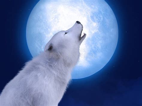 Black And White Wolf Howling At The Moon Wallpaper