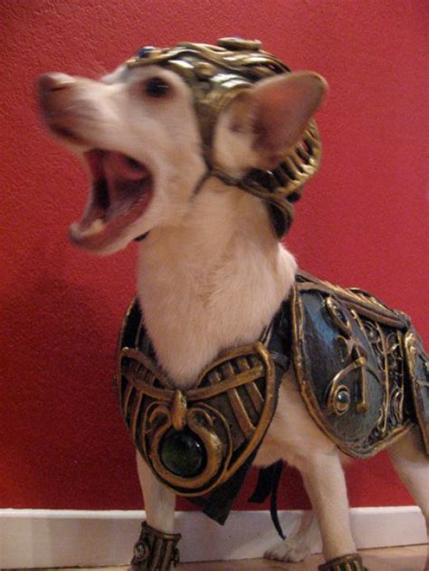 Knight Armor for Dogs, Cats, and Mice: Halloween Costumes for Pets ...