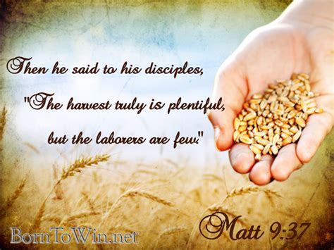 Matthew 9:37 (NKJV) 37 Then He said to His disciples, “The harvest truly is plentiful, but the ...