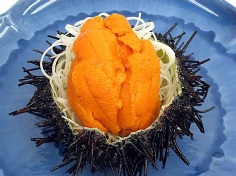 Buy Sea urchin roe directly from japanese company Nippon Dom